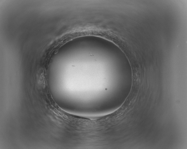 X0000052921493200507151536