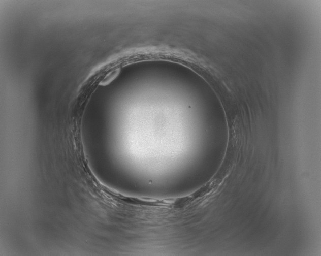 X0000052921494200507151537