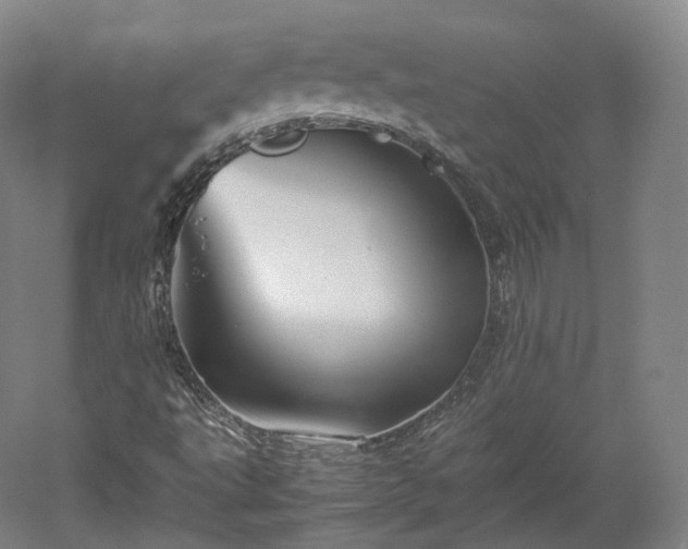 X0000052921495200507151537