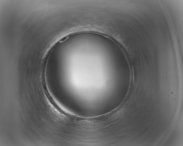 X0000052921500200507151537