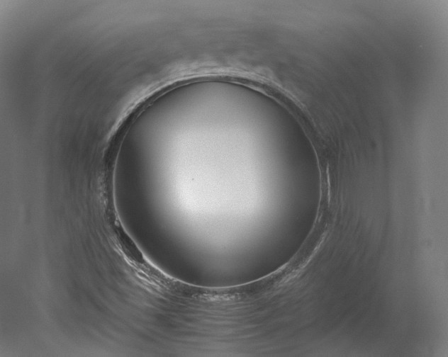 X0000052921501200507151537