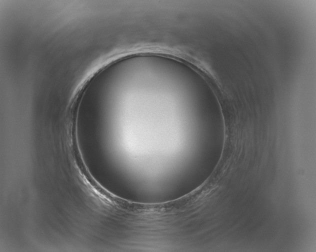 X0000052921504200507151537