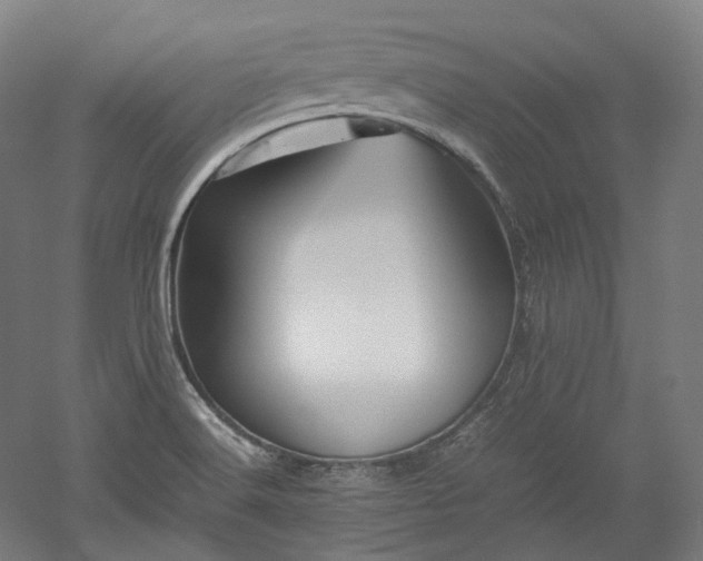 X0000052921516200507151537