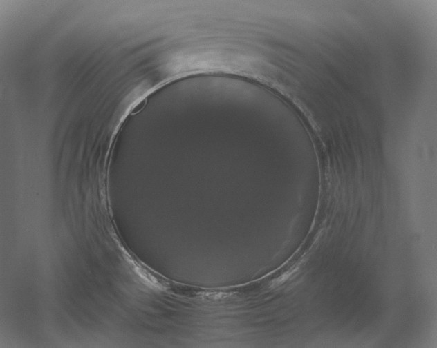 X0000052921529200507151537