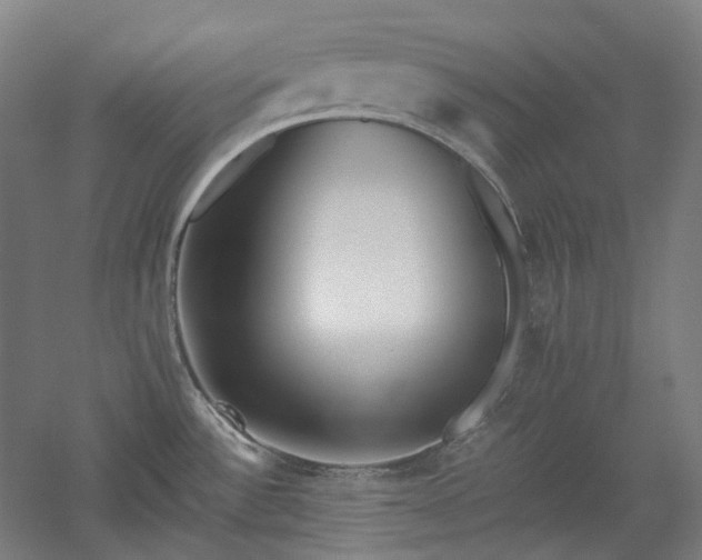 X0000052921532200507151537