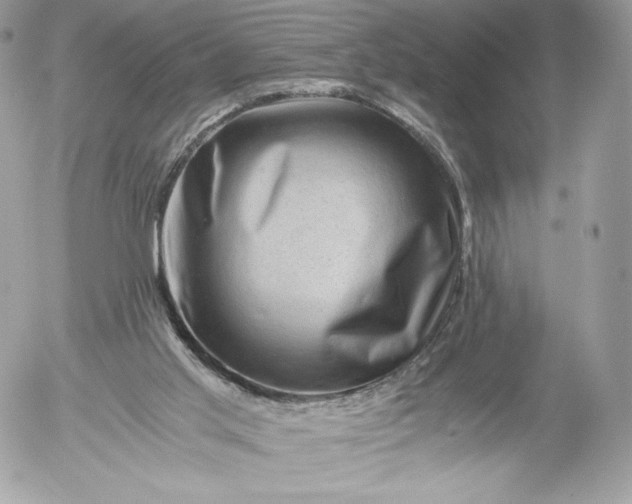 X0000052920013200507221108