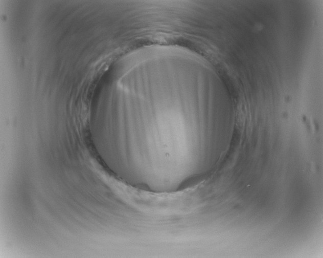 X0000052920043200507221107