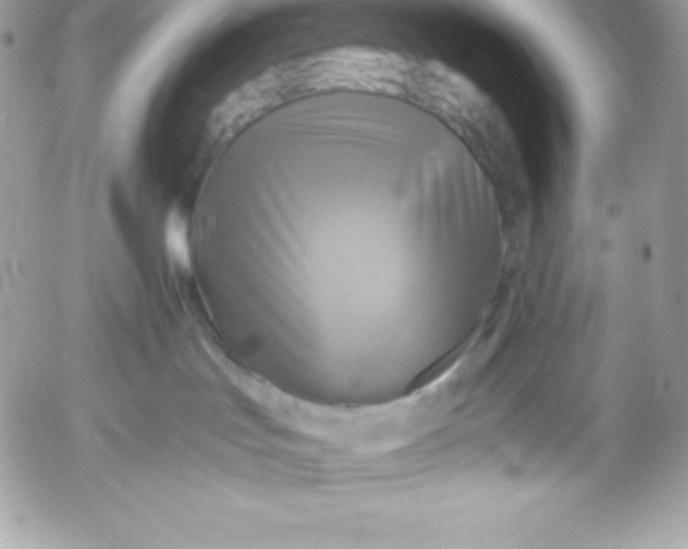 X0000052920047200507221107