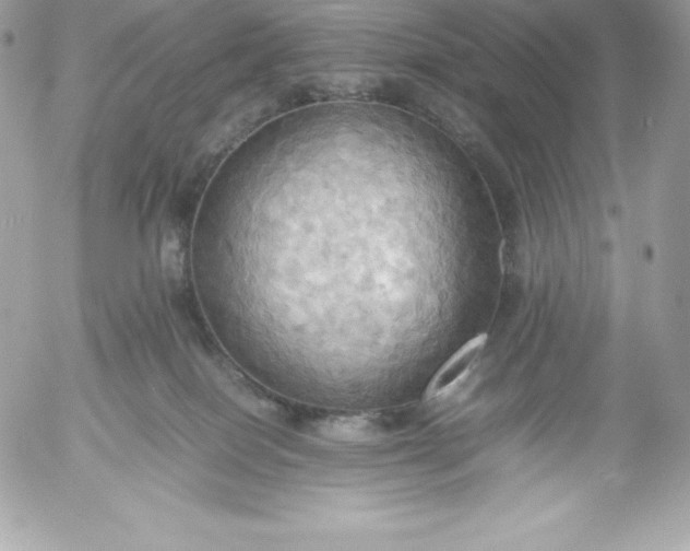 X0000052920086200507221107