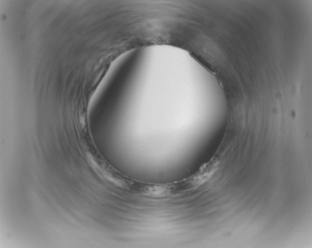 X0000052920088200507221107