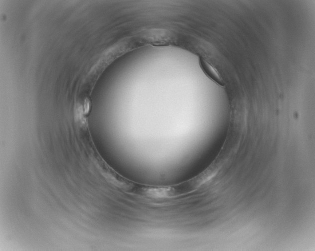X0000052920089200507221107