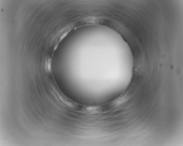 X0000052920095200507221107