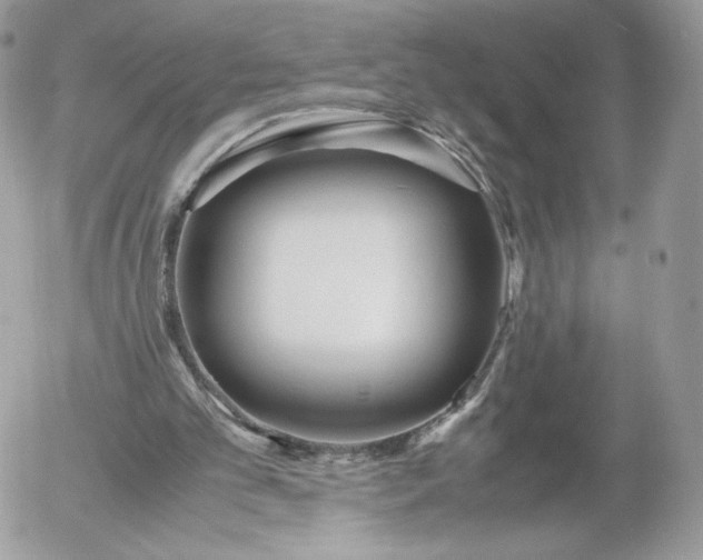 X0000052920101200507221106
