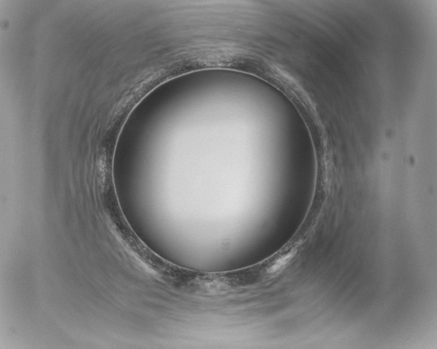 X0000052920113200507221106