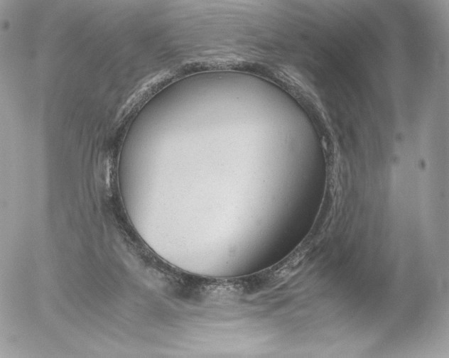 X0000052920115200507221106