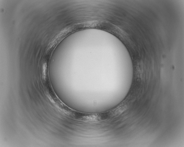 X0000052920118200507221106