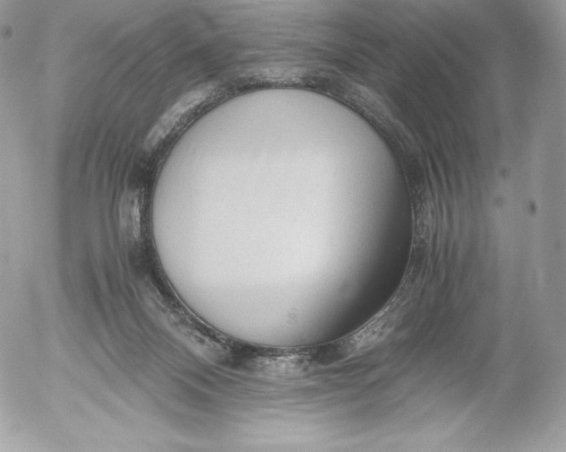 X0000052920120200507221106
