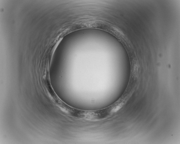 X0000052920121200507221106