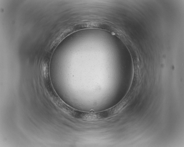 X0000052920123200507221106