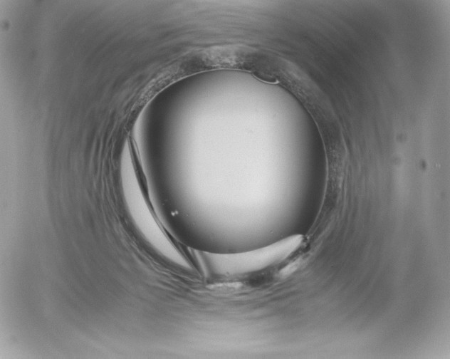 X0000052920125200507221106