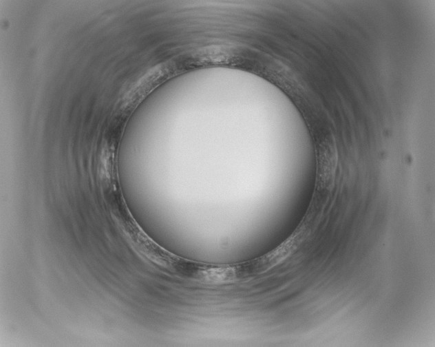 X0000052920126200507221106