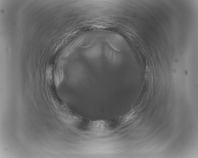 X0000052920127200507221106