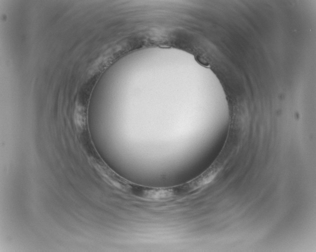 X0000052920135200507221106