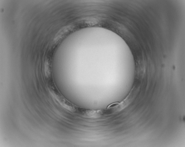 X0000052920136200507221106