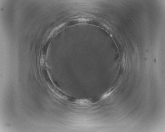 X0000052920137200507221106