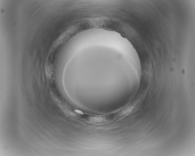 X0000052920139200507221106