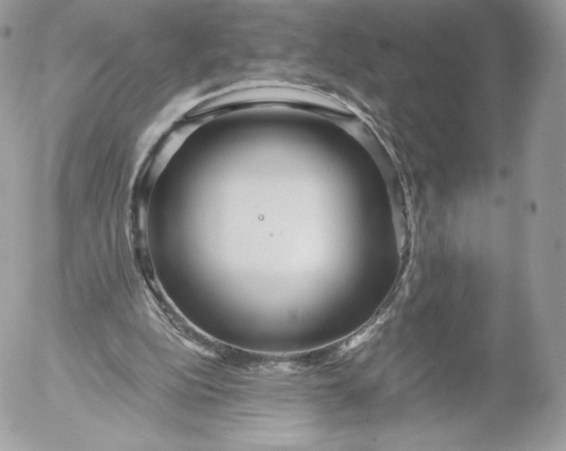 X0000052920152200507221105