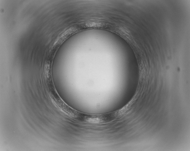 X0000052920171200507221105