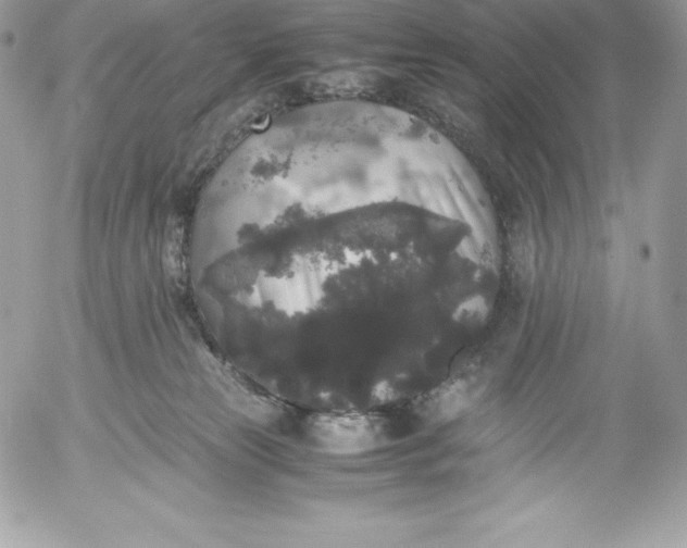 X0000052920181200507221105