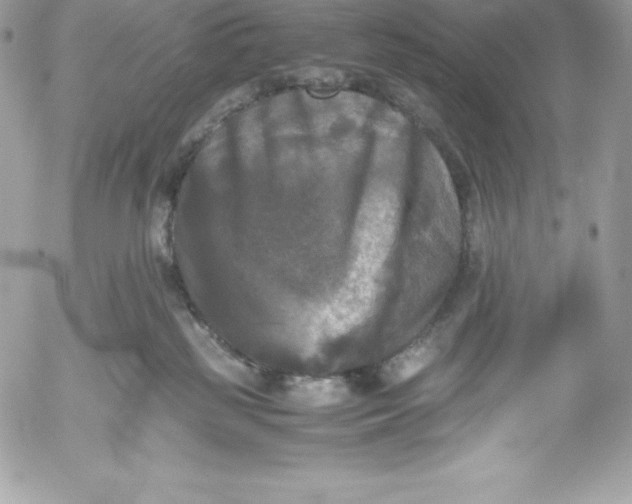 X0000052920185200507221105