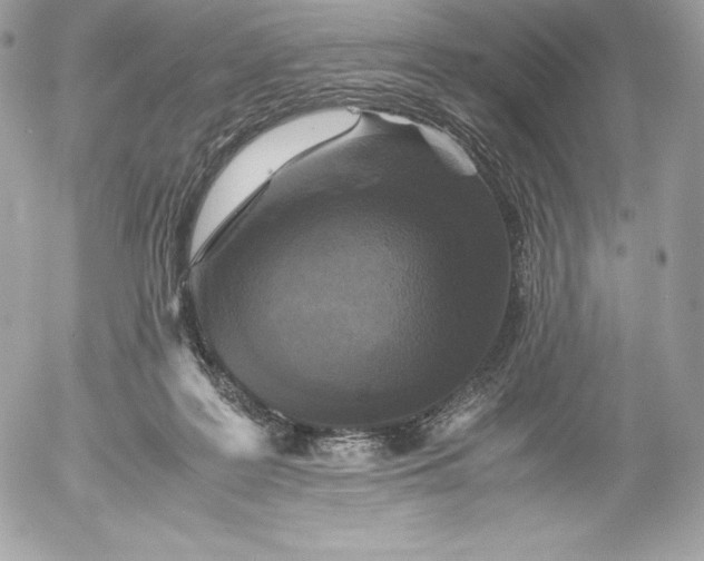 X0000052920219200507221104