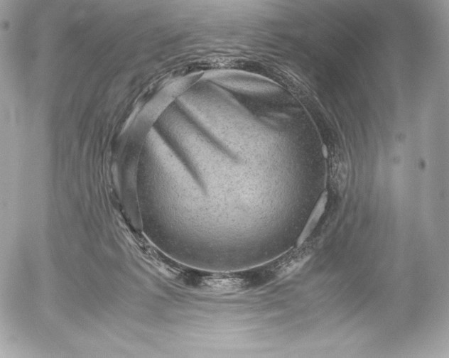 X0000052920221200507221104