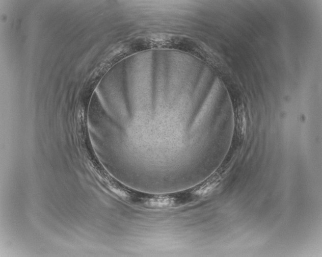 X0000052920225200507221104