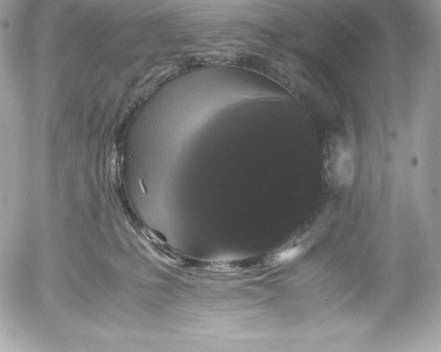 X0000052920231200507221104