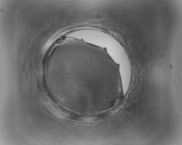 X0000052920295200507221103