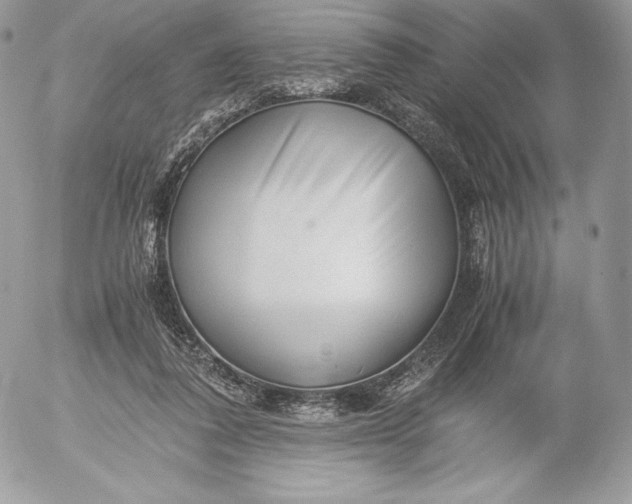 X0000052920308200507221103