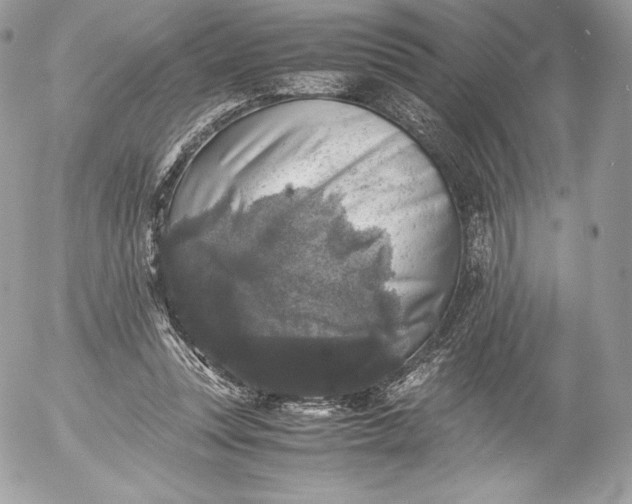 X0000052920351200507221102