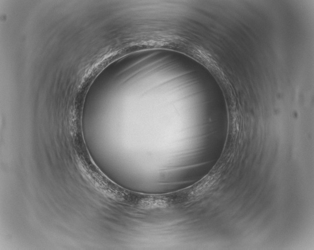 X0000052920354200507221102