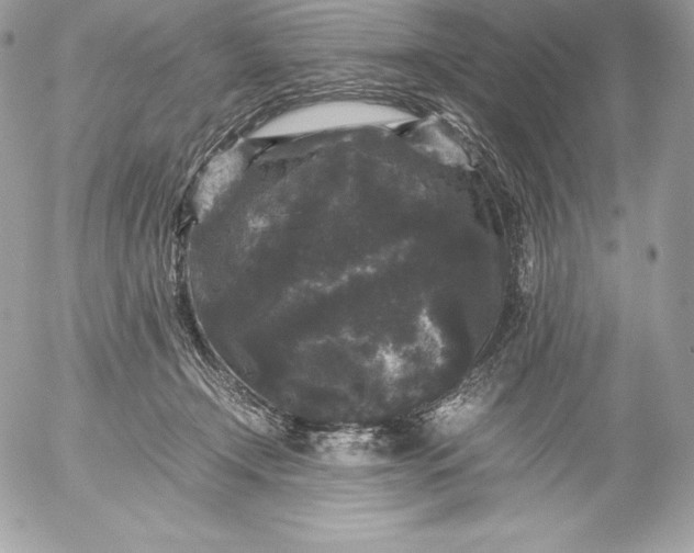X0000052920366200507221102