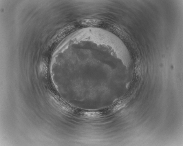 X0000052920371200507221102