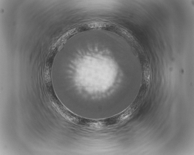 X0000052920411200507221101