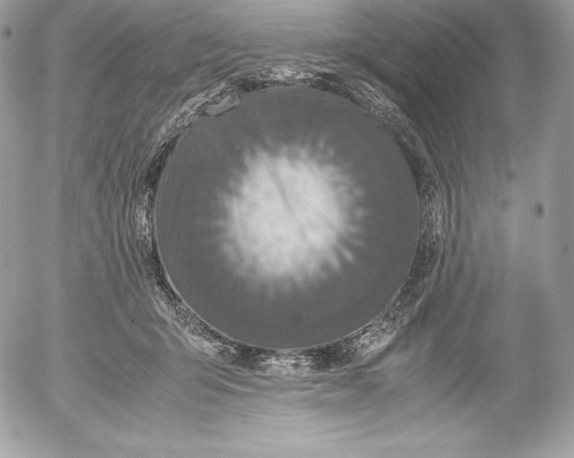 X0000052920415200507221101