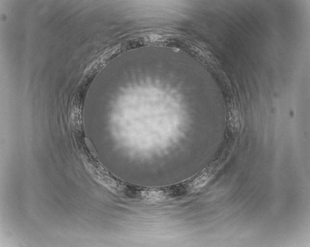 X0000052920419200507221101