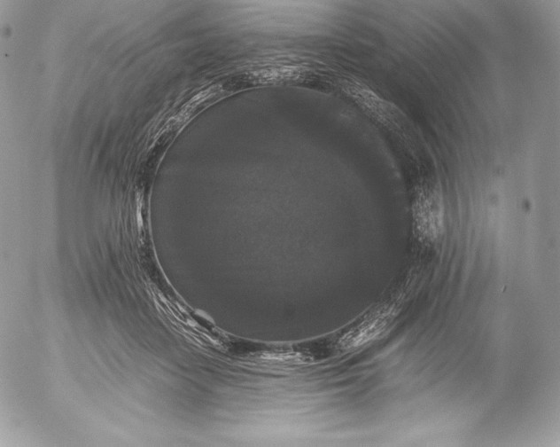 X0000052920458200507221100
