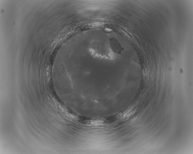 X0000052920462200507221101