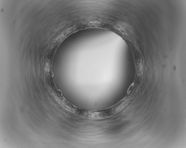 X0000052920472200507221101